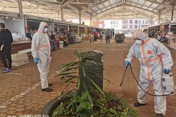  Dos empresas intensifican los tratamientos biocidas en las zonas más sensibles de Telde (Foto TA)